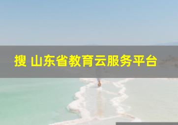 搜 山东省教育云服务平台